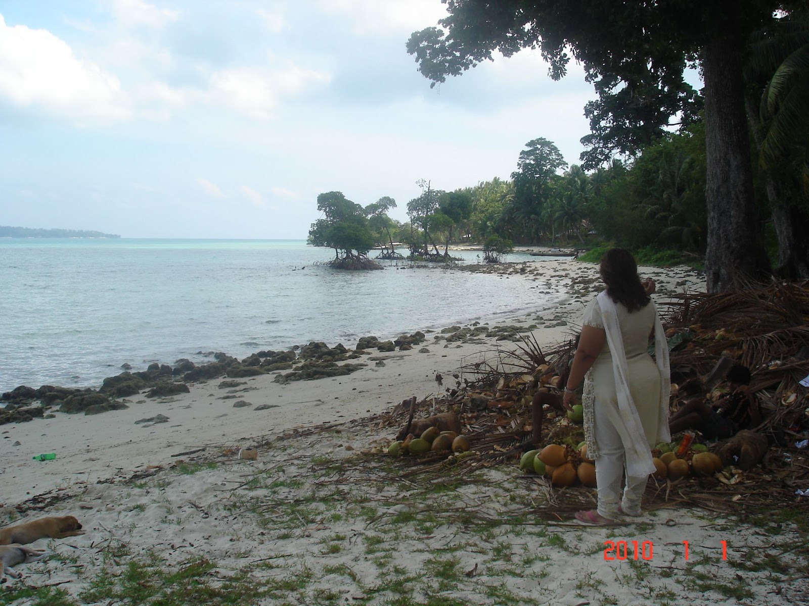 Havelock Island Beach Resort